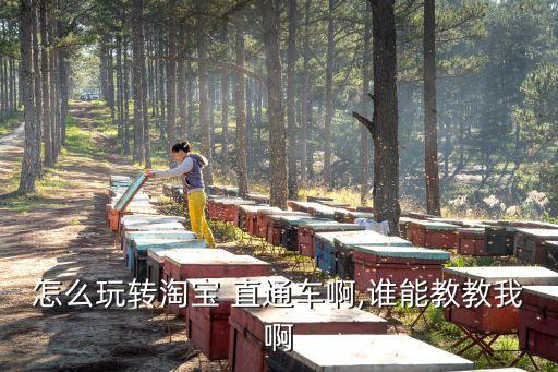 怎么玩转淘宝 直通车啊,谁能教教我啊