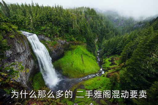 为什么那么多的 二手雅阁混动要卖