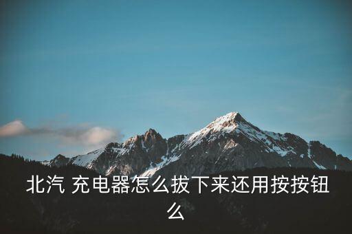 北汽原装充电器,北汽ec180充电器详解
