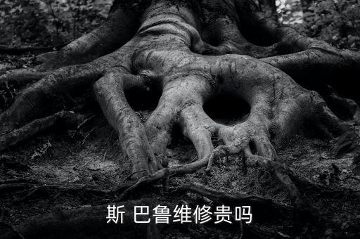 狮巴鲁森林人配件商行,斯09款巴鲁森林人配件贵不贵