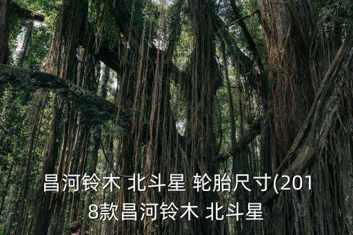 昌河铃木 北斗星 轮胎尺寸(2018款昌河铃木 北斗星