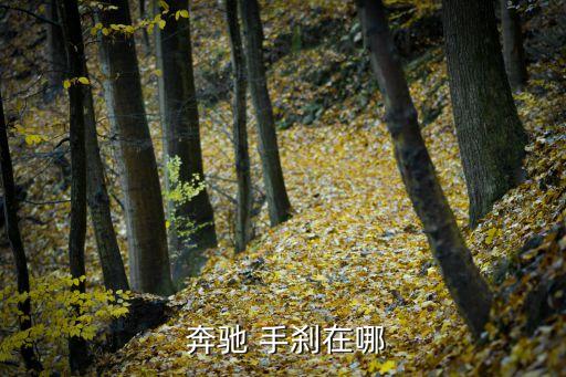  奔驰 手刹在哪