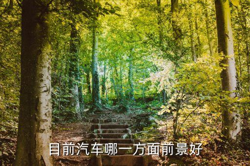 目前汽车哪一方面前景好