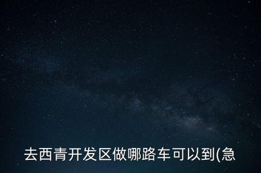 去西青开发区做哪路车可以到(急