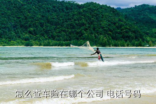 怎么查车险在哪个公司 电话号码