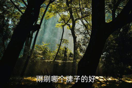 雨刷哪个牌子的好