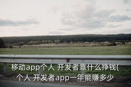 自己开发的软件如何赚钱,开发软件app怎么赚钱