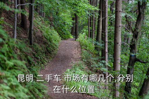  昆明 二手车 市场有哪几个,分别在什么位置