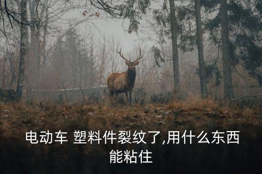  电动车 塑料件裂纹了,用什么东西能粘住