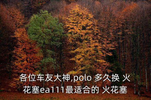 各位车友大神,polo 多久换 火花塞ea111最适合的 火花塞