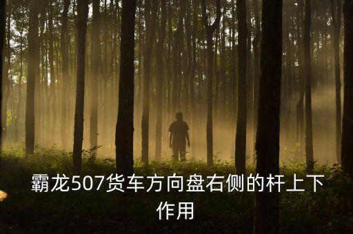  霸龙507货车方向盘右侧的杆上下作用