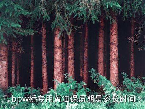  bpw桥专用黄油保质期是多长时间
