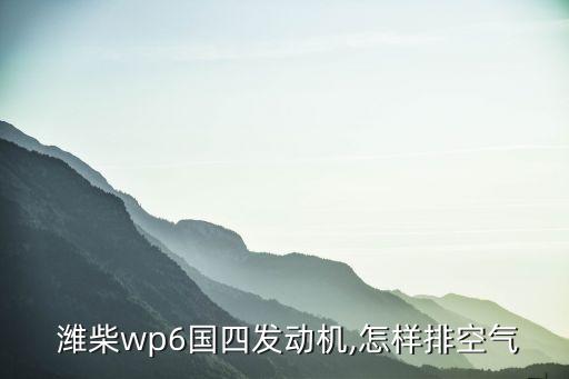  潍柴wp6国四发动机,怎样排空气