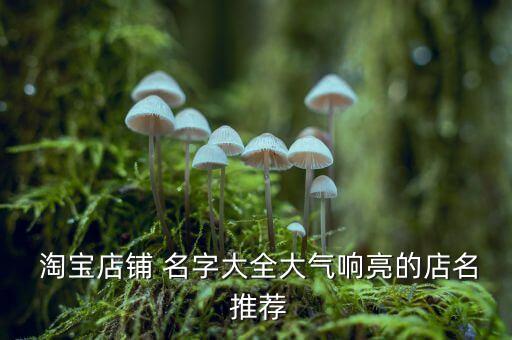  淘宝店铺 名字大全大气响亮的店名 推荐