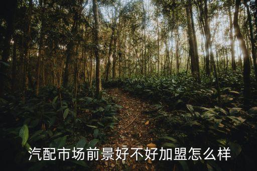  汽配市场前景好不好加盟怎么样