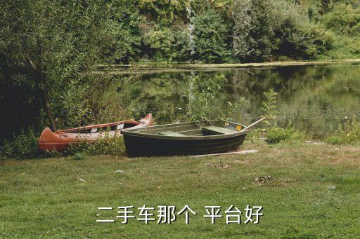 二手车那个 平台好