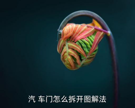 03款菱帅车门内饰板怎么拆