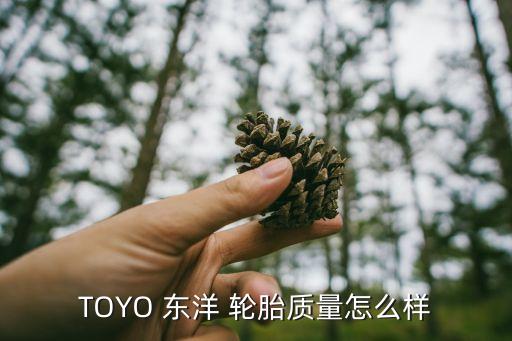 TOYO 东洋 轮胎质量怎么样