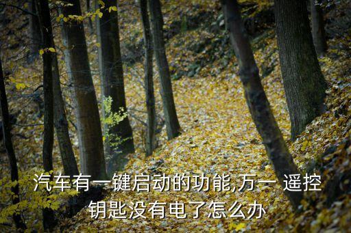  汽车有一键启动的功能,万一 遥控 钥匙没有电了怎么办
