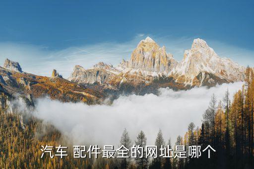  汽车 配件最全的网址是哪个