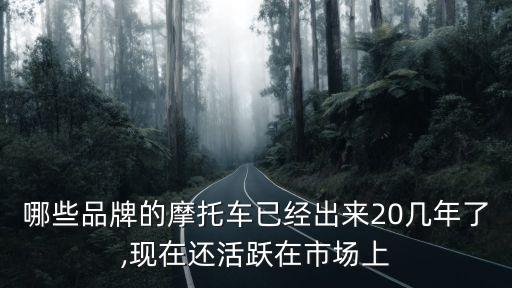 呱呱汽车服务有限公司,汽车服务有限公司营业执照经营范围
