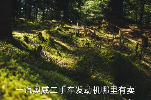 郑州拆车件汽配城,哈尔滨拆车件汽配城