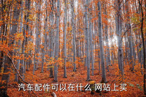专业汽配网站排名前十,有没有专业的汽配网站
