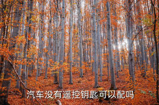 汽车遥控器丢了能配吗,遥控汽车遥控器丢了怎么配