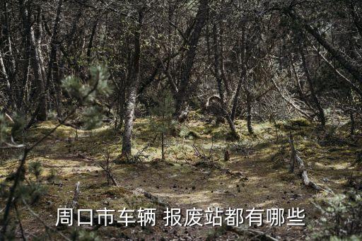 周口市车辆 报废站都有哪些
