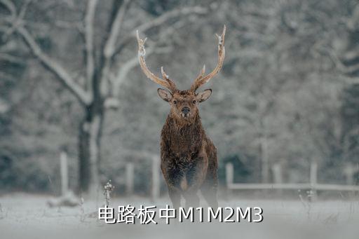 电路板中M1M2M3