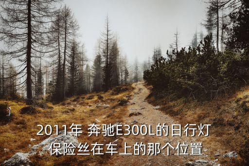 2011年 奔驰E300L的日行灯 保险丝在车上的那个位置