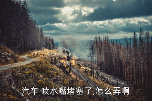 汽车 喷水嘴堵塞了,怎么弄啊