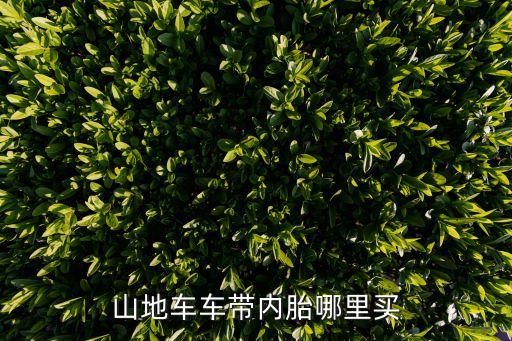 山地车车带内胎哪里买