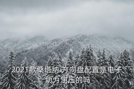 2021款桑塔纳 方向盘配置是电子 助力油压的吗