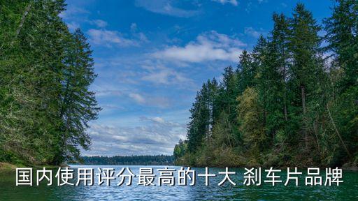 爱唯欧用什么牌子的刹车片