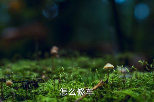 修理工都去哪里买配件