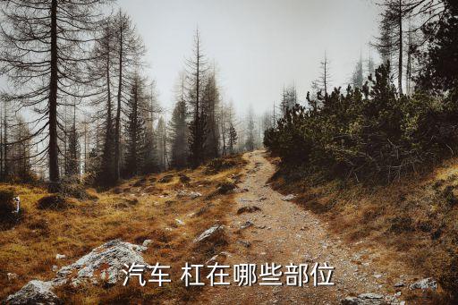 汽车 杠在哪些部位