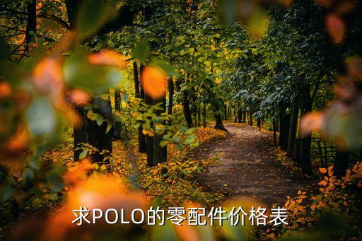 求POLO的零配件价格表