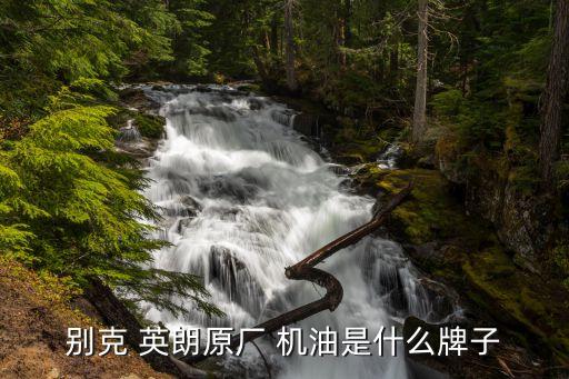 别克 英朗原厂 机油是什么牌子