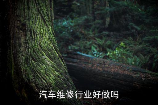 汽车维修行业好做吗