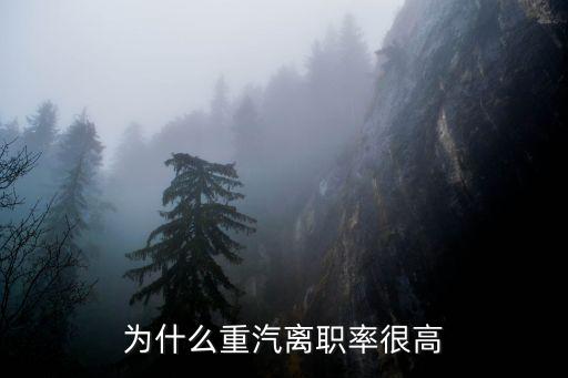为什么重汽离职率很高