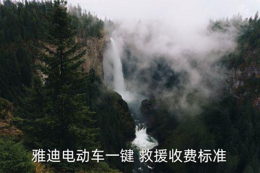 雅迪电动车一键 救援收费标准