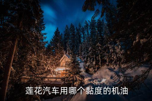  莲花汽车用哪个黏度的机油