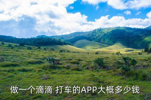 做一个滴滴 打车的APP大概多少钱