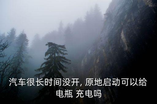 汽车很长时间没开, 原地启动可以给电瓶 充电吗