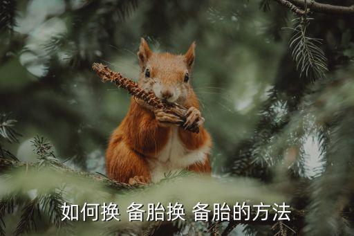 如何换 备胎换 备胎的方法