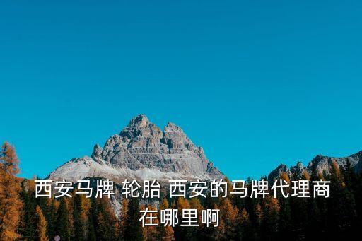 西安汽车轮胎批发市场,乌鲁木齐汽车轮胎批发市场