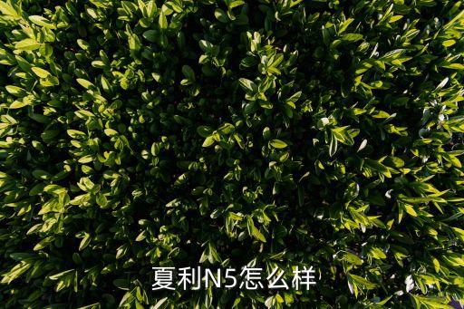  夏利N5怎么样