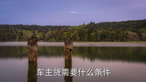 车主贷款纯线上申请,浦发企业贷款线上申请