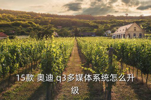 15款 奥迪 q3多媒体系统怎么升级